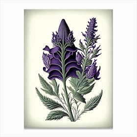 Lavender Leaf Vintage Botanical 3 Canvas Print