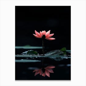 Lotus Flower 15 Canvas Print