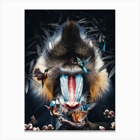 Mandrill Baboon Canvas Print