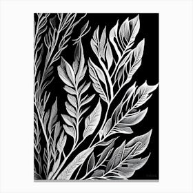 Scotch Broom Leaf Linocut 2 Canvas Print