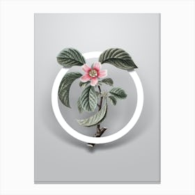 Vintage Chinese Quince Minimalist Floral Geometric Circle on Soft Gray Canvas Print