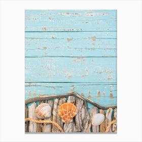 Sea Shells And Driftwood Canvas Print