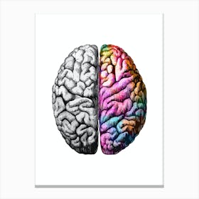 Brain Colorful Black And White 1 Canvas Print