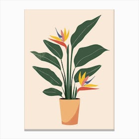 Bird Of Paradise Plant Minimalist Illustration 7 Canvas Print