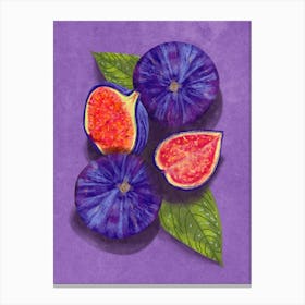 Figs Fruit Canvas Print