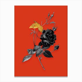 Vintage Blood Red Bengal Rose Black and White Gold Leaf Floral Art on Tomato Red n.0372 Canvas Print