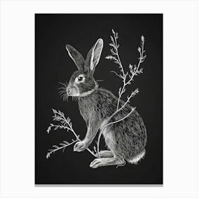 American Sable Rabbit Minimalist Illustration 3 Canvas Print