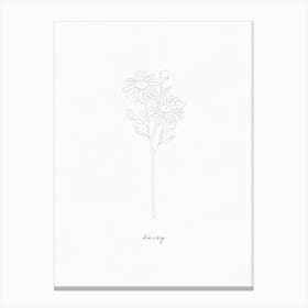 Daisy Ink Drawing Canvas Print