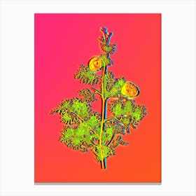 Neon Mediterranean Cypress Botanical in Hot Pink and Electric Blue n.0483 Canvas Print