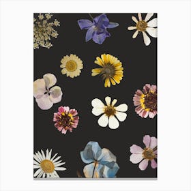 Flowers On A Black Background 9 Canvas Print