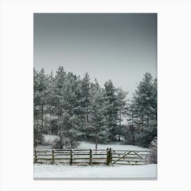 Winter Landscape Canvas Print