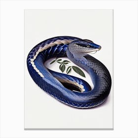 Indigo Snake Vintage Canvas Print