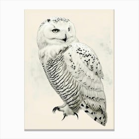 Snowy Owl Vintage Illustration 1 Canvas Print