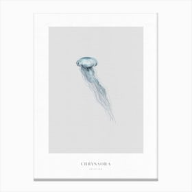 Boho Ocean 2 Jellyfish Canvas Print
