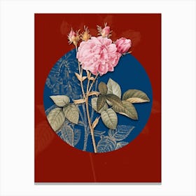 Vintage Botanical Pink Agatha Rose on Circle Blue on Red n.0290 Canvas Print