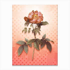 Provins Rose Vintage Botanical in Peach Fuzz Polka Dot Pattern n.0053 Canvas Print
