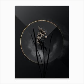 Shadowy Vintage Drooping Star of Bethlehem Botanical on Black with Gold n.0071 Canvas Print