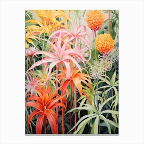 Tropical Plant Painting Spider Plant 4 Canvas Print