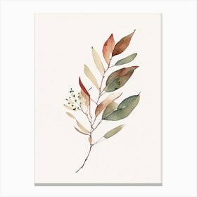 Barberry Leaf Minimalist Watercolour Canvas Print