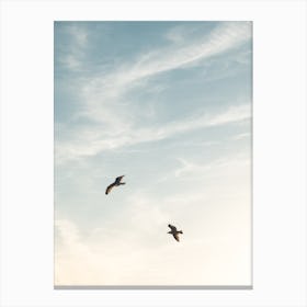Two Birds Flying Through The Sunset Sky Canvas Print