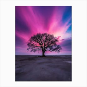 Lone Tree At Sunset 1 Canvas Print