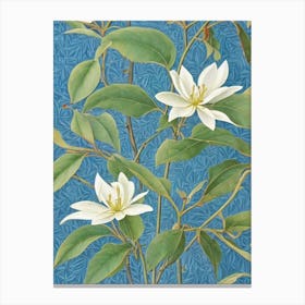 Southern Magnolia tree Vintage Botanical Canvas Print