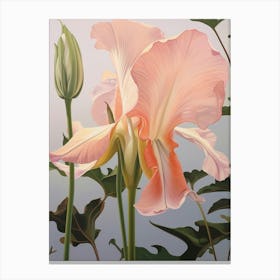 Floral Illustration Gloriosa Lily 3 Canvas Print