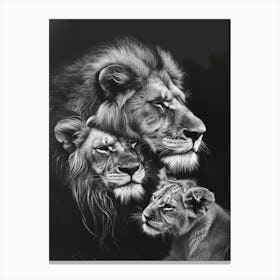 Barbary Lion Charcoal Drawing Family Bonding 1 Canvas Print