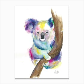 Koala Canvas Print