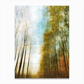 Autumn Canvas Print