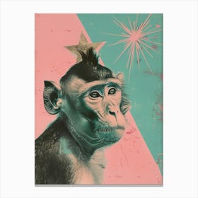 Monkey With Star Canvas Print