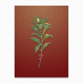 Vintage February Daphne Flowers Botanical on Falu Red Pattern Canvas Print
