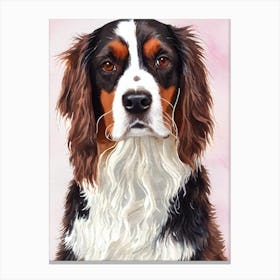 Welsh Springer Spaniel 3 Watercolour dog Canvas Print
