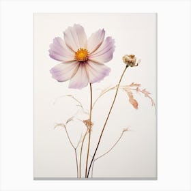 Pressed Flower Botanical Art Cosmos 3 Canvas Print