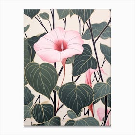 Flower Illustration Morning Glory 6 Canvas Print