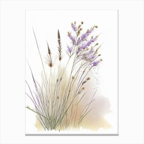 Prairie Dropseed Wildflower Watercolour 1 Canvas Print