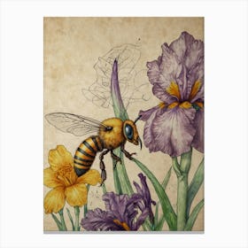 Bee And Iris 1 Canvas Print