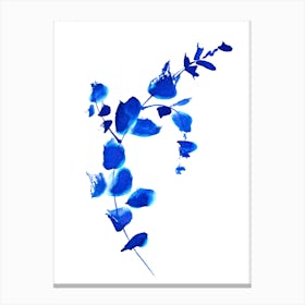 Blue Eucalyptus Branch Botanical Art Canvas Print