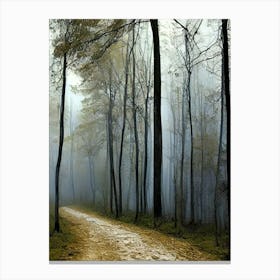 Road In The Woods Canvas Print