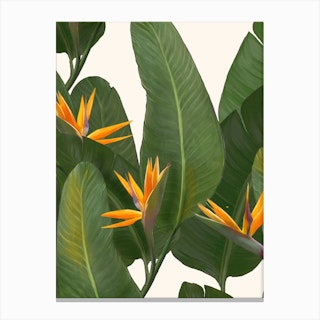 Tropical Flora Canvas Print
