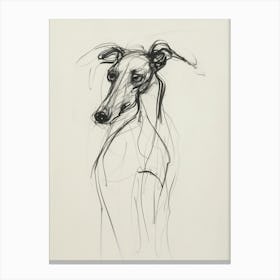 Greyhound Dog Charcoal Line 3 Canvas Print