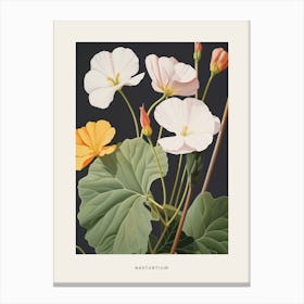 Flower Illustration Nasturtium 1 Poster Canvas Print