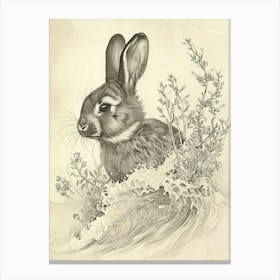 Polish Rabbit Drawing 1 Canvas Print