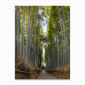 Mighty Arashiyama Bamboo Forest In Kyoto Canvas Print