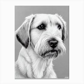 Border Terrier B&W Pencil dog Canvas Print
