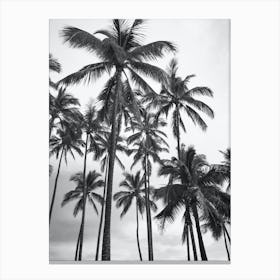 Black And White Palms Holiday Photo Canvas Print