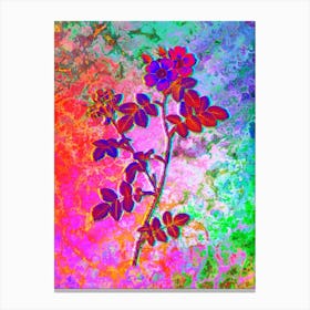 Pink Sweetbriar Roses Botanical in Acid Neon Pink Green and Blue Canvas Print