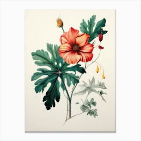 Red Hibiscus Canvas Print