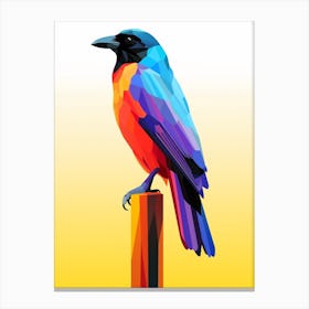 Colourful Geometric Bird Crow 3 Canvas Print