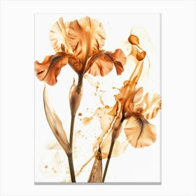 Orange Iris 1 Canvas Print